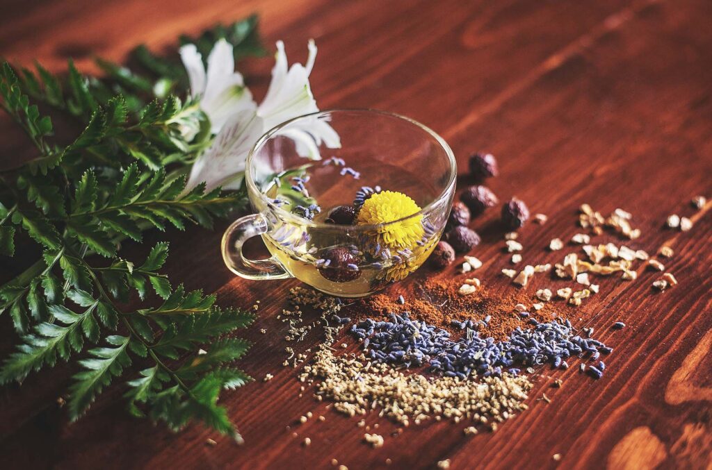 Tisane et plantes pour detox de naturopathe